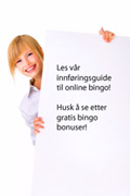 nettbingo tips og innføring